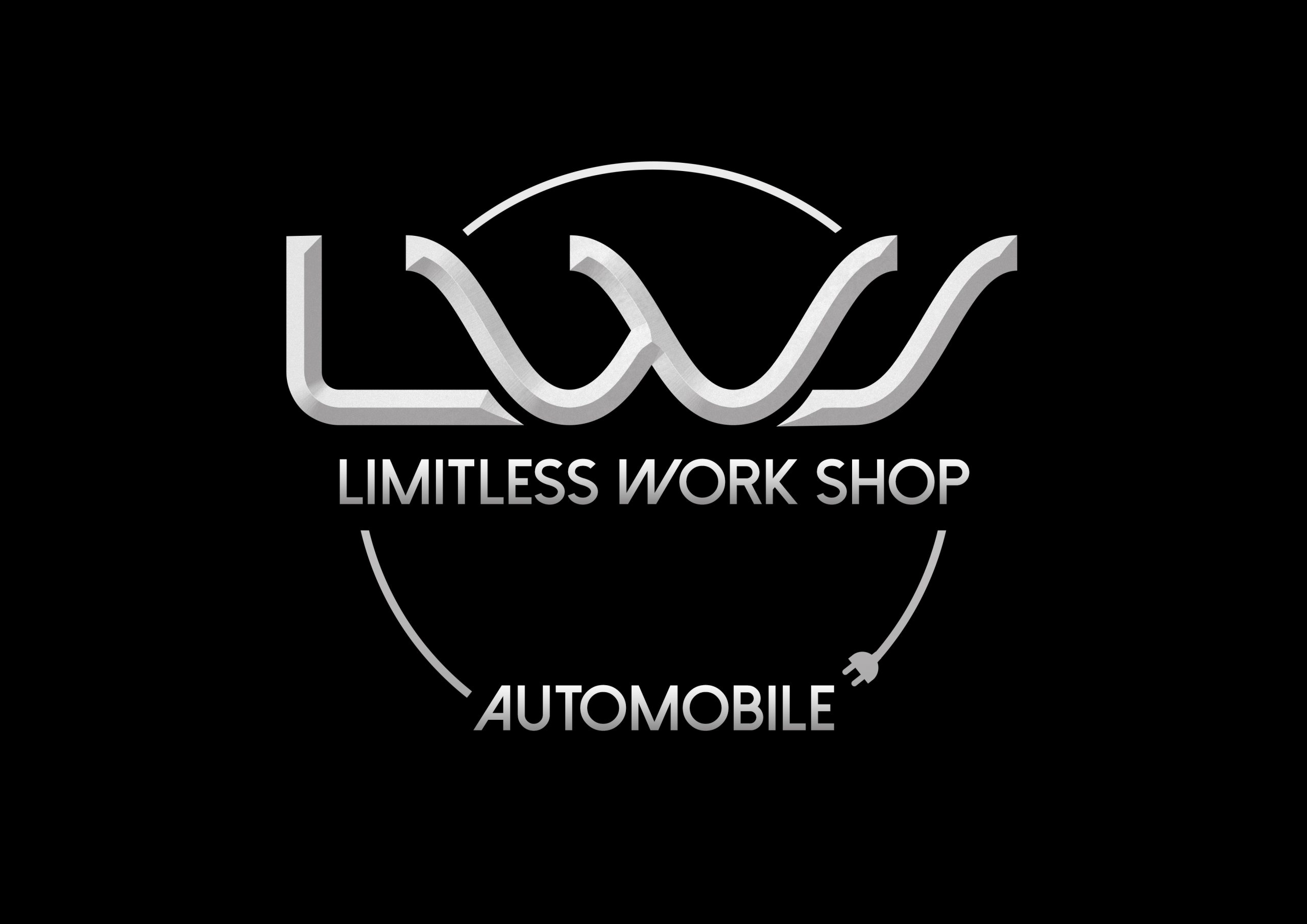 logo de l'entreprise Limitless Work Shop SAS